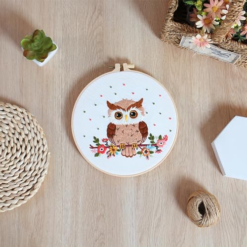 Louise Maelys Cute Owl Embroidery Kit for Beginners Animal DIY - color: Color 24