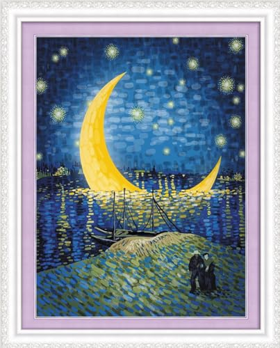 Meecaa Cross Stitch Kits 11 Count Stamped, Nile River People Starry Sky Reflection Embroidery Kit with Accessories Pre Printed (30CMx40CM (Starry Sky 1) - color: Starry Sky 1