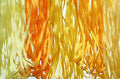 Yellow Orange Tones 4mm 100% Pure Silk Ribbon, 5 Spools (10 Meters Each) - size: 4 MM
