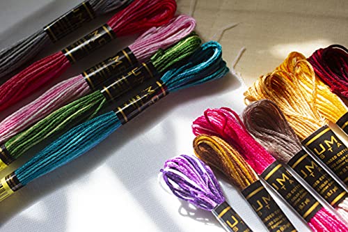 12 Pieces Variegated Colours Premium Embroidery Thread | 100% Egyptian Cotton Premium Skeins | Cross Stitch Embroidery Floss | Oeko TEX Certified Stranded Cotton | Ideal for Arts & Crafts - color: Variegated