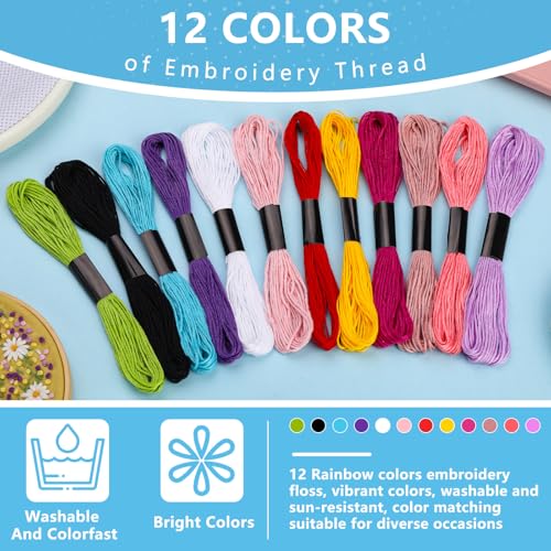 Embroidery Thread, 12 Skeins Rainbow Color Cotton Embroidery Floss - color: Rainbow Series