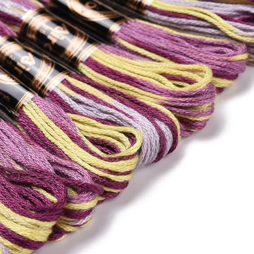 Cross Stitch Floss 10 Skeins Variegated Embroidery String 6 Strands Segment Dyed Polyester for Friendship Bracelet Needlepoint Sewing Knitting Crafts (Purple) - color: Purple