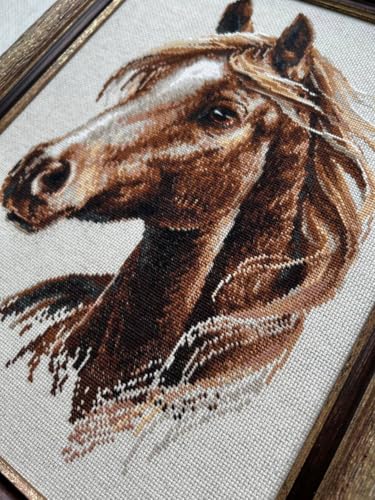 RIOLIS 2293 Proud Spirit Counted Cross Stitch Kit 11.75 x 15.75 in - style: Proud Spirit 2293