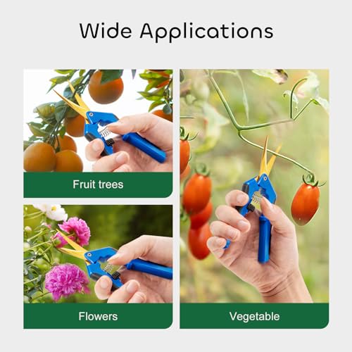GROWNEER 6 Packs 6.5 Inch Pruning Shears with Curved Blades Trimming Scissors For Gardening Hand Pruning Snips Titanium Coated Precision Blades - style: Blue