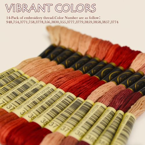 Premium Rainbow Color Embroidery Floss - Cross Stitch Threads - Friendship Bracelets Floss - Crafts Floss - 14 Skeins Per Pack Embroidery Floss,Light Peach Flesh Gradient - color: Lt Peach Flesh Gradient