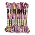 Cross Stitch Floss 10 Skeins Variegated Embroidery String 6 Strands Segment Dyed Polyester for Friendship Bracelet Needlepoint Sewing Knitting Crafts (Purple) - color: Purple