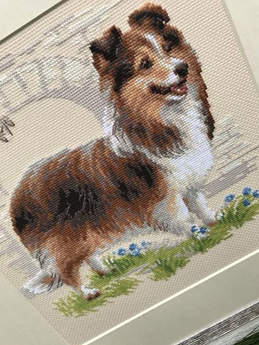 RIOLIS 1710 Sheltie Counted Cross Stitch Kit 9.84 x 9.84 in