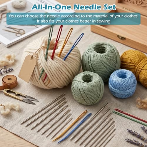 60pcs Large Eye Hand Sewing Needles Kit, Stainless Steel Blunt & Sharp Darning Needles & Bent Tapestry Needles & Embroidery Needle with Case,Perfect for Crochet/Darning/Yarn/Embroidery Projects