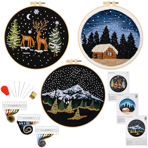 Armindou Embroidery Kit for Beginner Adults, Counted Stamped Cross Stitch kit for Adult Beginner, Hand Embroidery Starter Kits with Pattern, 3 Embroidery Hoop, Fabric (Attached Teaching Video QR Code) - color: Night Scene, size: 8inch