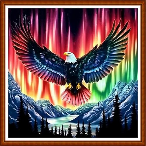 Funart Stamped Cross Stitch Kits for Beginners Full Range of Cross Stitching Preprinted Embroidery Kits for Adults, 11CT Embroidery Pattern Needlepoint Kits-Aurora Eagle Landscape 18x18 inch - color: ColorArt60