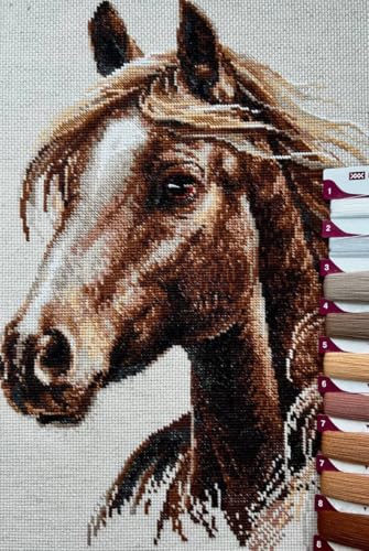 RIOLIS 2293 Proud Spirit Counted Cross Stitch Kit 11.75 x 15.75 in - style: Proud Spirit 2293