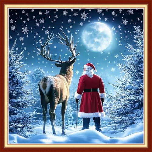 Funchey Stamped Cross Stitch Kits, DIY Cross Stitch Pattern for Adults Beginners Needlepoint Kits Embroidery Kit Arts and Crafts 11CT&Santa Claus Snow Scene 18x18 inchs - color: HandicraftColor05