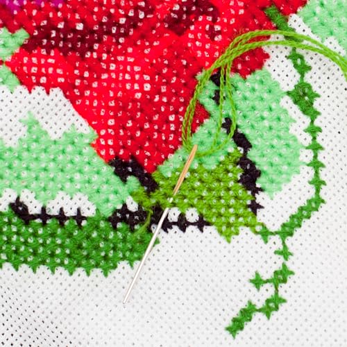 18 Mesh Needlepoint Blank Canvas, 50x35cm/19.69x13.78in White Embroidery Cross Stitch Fabric with Needles Accessories for Knitting & Crochet Projects Supplies