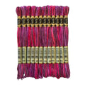 Magical Color Variegated Cross Stitch Thread Color Variations Embroidery Floss Pack, 8.7-Yard, Radiant Ruby, Pack of 12 Skeins