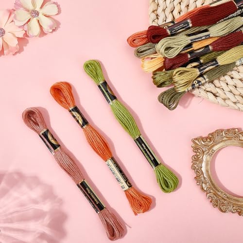 12 Skeins 105 Yards Variegated Embroidery Floss Thread for Craft - color: Autumn Colors