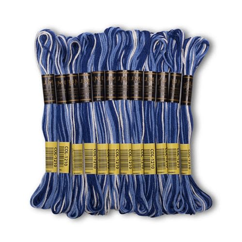 Pack of 12 Premium Embroidery Thread | 100% Egyptian Cotton Premium Skeins | Cross Stitch Embroidery Floss | Oeko TEX Certified | Ideal for Arts & Crafts (Blue Variegated 1210) - color: Blue Variegated 1210
