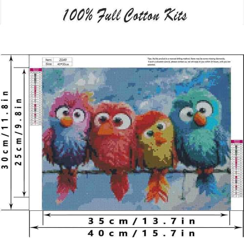DYAIANGMU Bird Stamped Cross Stitch Kit for Adults 15.7x11.8 inches - color: bird