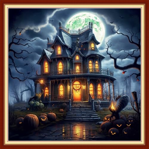 Redxing Stamped Cross Stitch Kits Embroidery kit for Beginners Adults Full Range of Embroidery Patterns Starter Kits DIY Printed Cross Stitch Kits Needlepoint Kits 11CT-Magic House 18x18 inchs - color: Artskits05