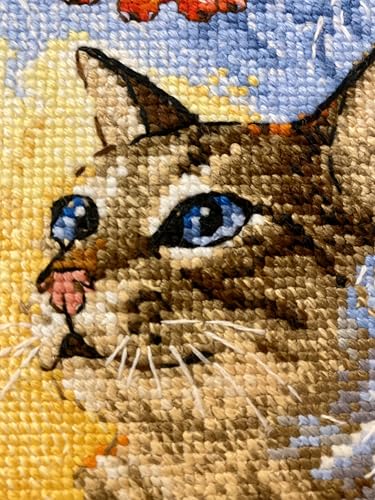 RIOLIS - Meeting at The Window 2049, Cat Lovers Cat Cross Stitch Kits 8¼"x11¾, Cross Stitch Kits for Beginners & Advanced, Crossstitching Kits Adult, Counted Stitching Kits, Cat Embroidery Kit - style: Meeting at The Window 2049