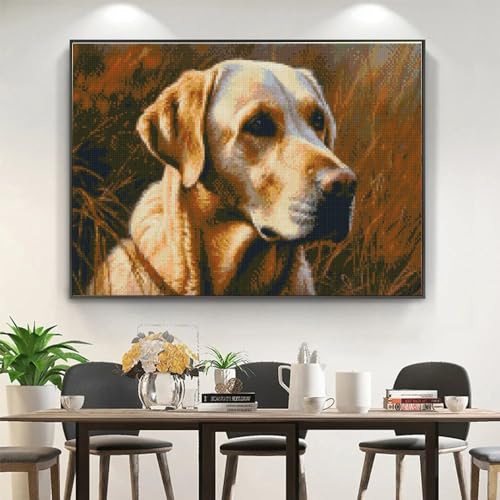 DIY Stamped Cross Stitch Kits Night Wolf Dreamcatcher for Beginners Easy 11CT Needlepoint Embroidery Counted Cross Stitch Kits Art Craft Wall Decoration and Gift 40x50cm(1)