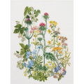 Thea Gouverneur - Counted Cross Stitch Kit - Herb Panel - Linen - 36 Count - Embroidery Kit for Adults - DMC Embroidery Threads and Other Cross Stitch Supplies Included - 424 - color: 424 Linen