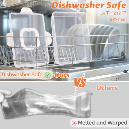 Snackle Box Container Dishwasher Safe Divided Serving Tray with Lid Handle