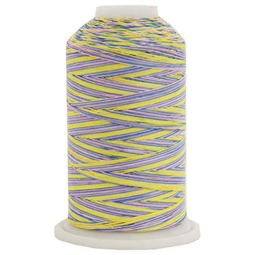 ThreadArt Multicolor Cotton Thread, 600M 40/3, Wildflowers 2636 - color: Wildflowers