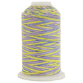 ThreadArt Multicolor Cotton Thread, 600M 40/3, Wildflowers 2636 - color: Wildflowers