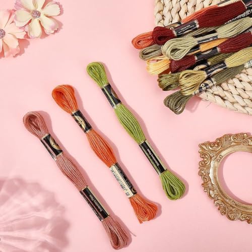24 Skeins 210 Yards Cross Stitch Floss Variegated Polyester Embroidery Thread Autumn Color Friendship Bracelet String 6 Ply Yarn Threads Bulk for Jewelry Making Bracelet Knitting Stitching - color: Autumn Color