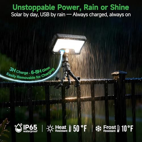 Octopus Solar Motion Lights Outdoor, 600LM, 2 Pack, Black - color: Claw Mount, size: 2-Pcs