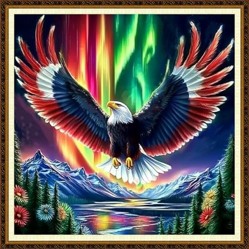 Redxing Counted Cross Stitch Kit for Beginners,Unprinted Needlepoint Kits for Beginners Cross Stitching Embroidery Kit 11CT Stitches kit-Aurora Eagle 18x18 inch - color: KitColors17