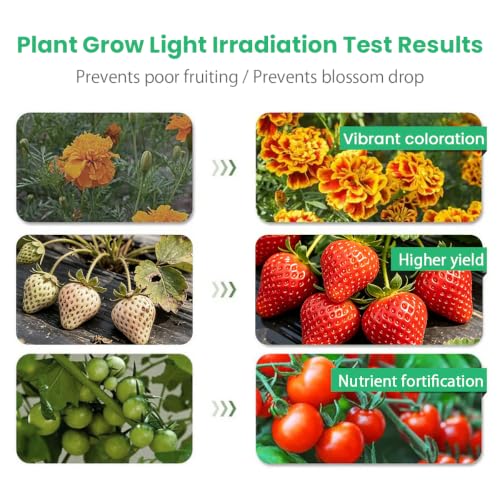 Full Spectrum 4 Heads LED Plant Grow Light for Indoor Plants - size: 4 heads
