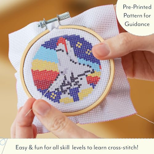 AQUARIUS NASA Space Shuttle Small Cross Stitch Kit for Beginners