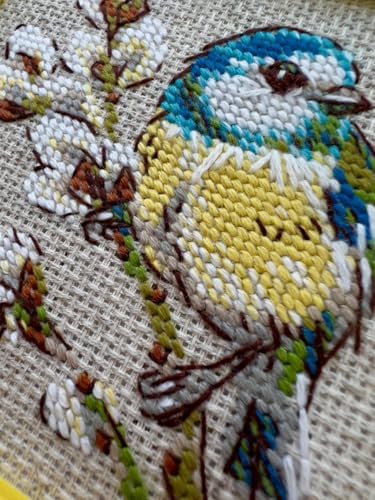 RIOLIS 2244 Titmouse Counted Cross Stitch Kit 4 x 4 in - style: Titmouse 2244