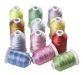 Simthreads 12 Variegated Color Polyester Embroidery Machine Thread for Most Home Embroidery Machines 1100 Yards Each - color: 12Va-1