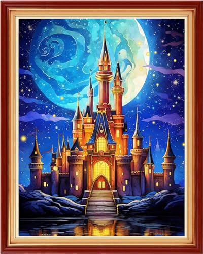 Foxhool Stamped Cross Stitch Kits,11CT Printed Cross Stitch Pattern Full Embroidery Kits for Beginner Needlepoint Kits-Magic Castle 16x20 inch - color: Craftpatterns34