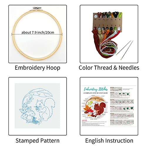 Louise Maelys Autumn Squirrel Embroidery Kit, Animal Craft for Beginners - color: kit-10