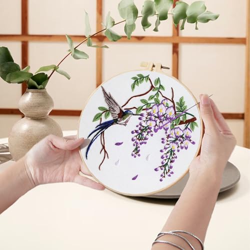 Ohcol 3 Sets Hummingbird Embroidery Kit for Beginners Needlepoint Kits for Adults Cross Stitch Kits with Clear Instructions,Easy Funny Stamped Bird Patterns Fabric Hand Crafts - color: Q-Hummingbird (3 Patterns, 1 Hoop + Extas)