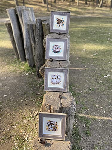 RIOLIS 1755 Little Owls Counted Cross Stitch Kit 5.12 x 5.12 in - style: Custom