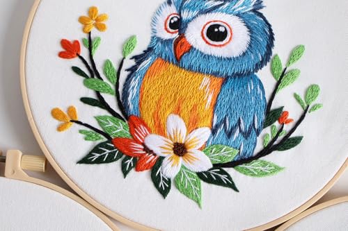 Konrisa Owl Embroidery Kit for Beginners Adult, Embroidery Starter Kit with Cloth Hoops Threads DIY Sewing for Craft Lover Hand Stitch Needlepoint Kits - color: owl