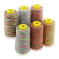 6 Cones Rainbow Variegated Polyester Serger Sewing Thread, 40S/2