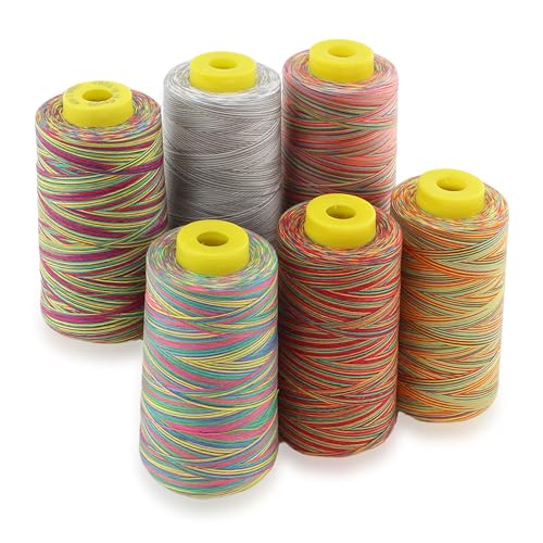 6 Cones Rainbow Variegated Polyester Serger Sewing Thread, 40S/2