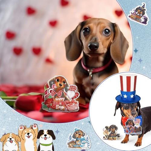 Cinnvoice Seasonal Diamond Art Hanging Kit,12 Pcs,Dachshund - style: Dachshund