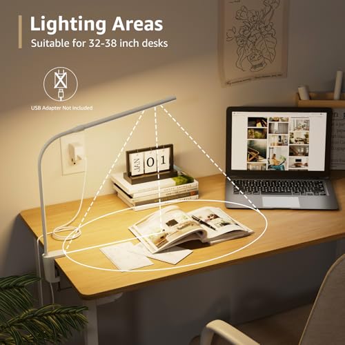 Lepro Small Desk Lamp with Clamp, LED Reading Lamps, 460LM, 5W, White - color: White