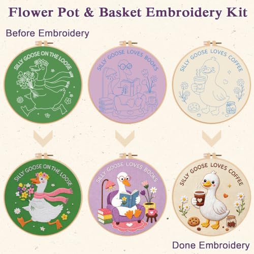 Louise Maelys 3 Pack Embroidery Kit for Beginners, Fun Silly Goose Design - color: Silly Goose