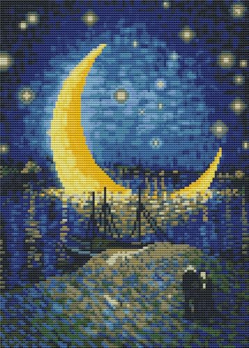 Meecaa Cross Stitch Kits 11 Count Stamped, Nile River People Starry Sky Reflection Embroidery Kit with Accessories Pre Printed (30CMx40CM (Starry Sky 1) - color: Starry Sky 1