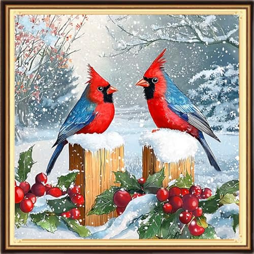 Redxing Counted Cross Stitch Kit for Beginners,Unprinted Needlepoint Kits for Beginners Cross Stitching Embroidery Kit 11CT Stitches kit-Snowy Scenery Birds 18x18 inch - color: KitsColor06