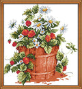 CaptainCrafts Cross Stitch Kits, New Stamped Kit Printed 11CT Fabric Cross Stitching DIY Art DMC Needlecrafts Embroidery Kit for Adults Beginner (Stamped, Strawberry) - color: Strawberry, style: Stamped