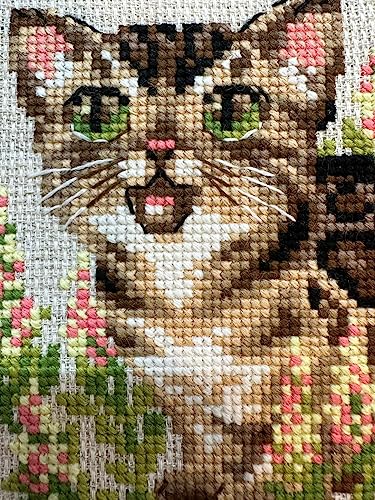 RIOLIS 2119 Bengal Kitten Counted Cross Stitch Kit 6 x 6 in - style: Bengal Kitten 2119