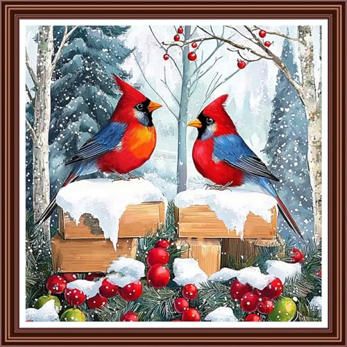 Dimensean Counted Cross Stitch Kit for Beginners, 11CT Unprinted Cross-Stitch Kit Easy Patterns Needlepoint Kit Cross Stitching Embroidery Kit Supplies-Little Bird Snow Scene 18x18 inch - color: ColorDIY15